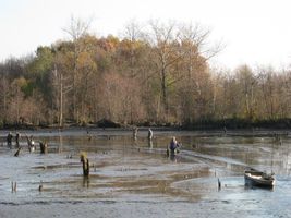 Rokytka 1-Pískovna-výlov 12.11.09 (5).jpg